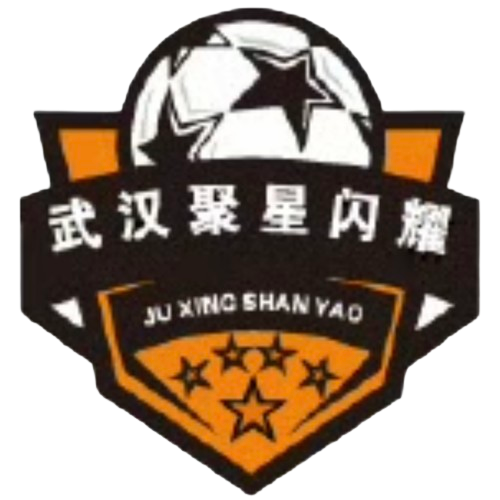 武汉聚星闪耀
