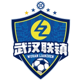 武汉联镇